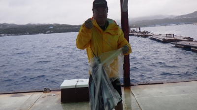 本部釣りイカダ 釣果