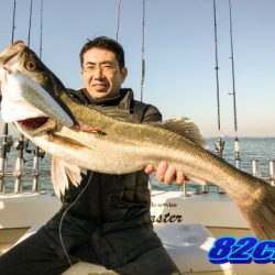 オーシャンマスター 釣果