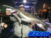 オーシャンマスター 釣果