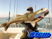 オーシャンマスター 釣果