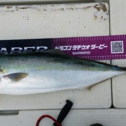 オーフリー 釣果