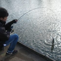 吉羽園 釣果