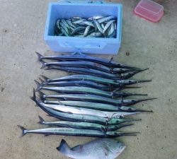 本部釣りイカダ 釣果