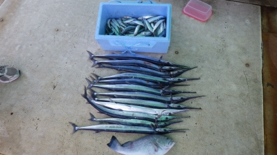 本部釣りイカダ 釣果