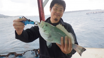 本部釣りイカダ 釣果