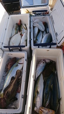 海龍丸（福岡） 釣果