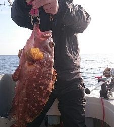 海龍丸(福岡) 釣果