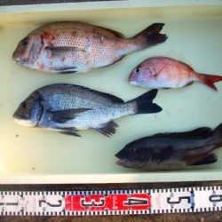 朝日丸 釣果