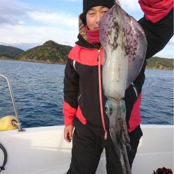 マタウマリンサービス 釣果