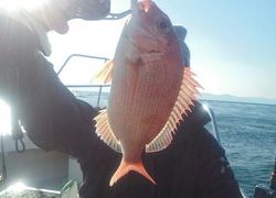 愛裕南丸 釣果