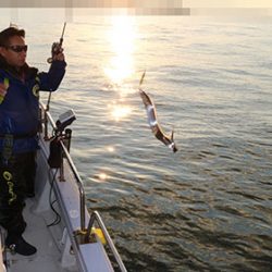 松本釣船２ 釣果