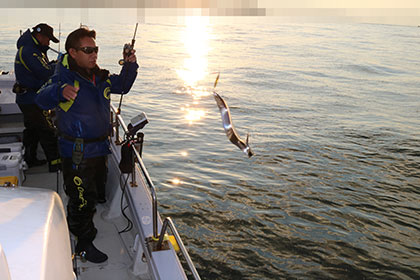 松本釣船２ 釣果