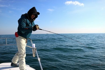 フルコンタクト 釣果