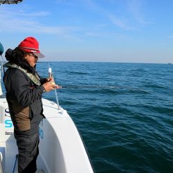 フルコンタクト 釣果