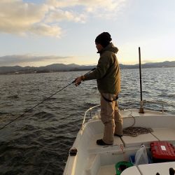フィッシングボート空風(そらかぜ) 釣果