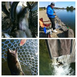 みどりフィッシングエリア 釣果