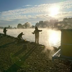 みどりフィッシングエリア 釣果