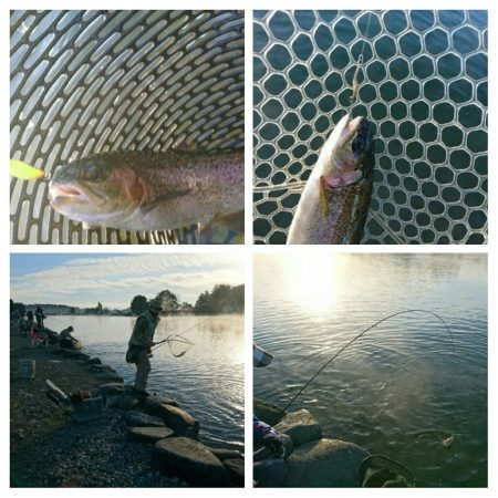 みどりフィッシングエリア 釣果