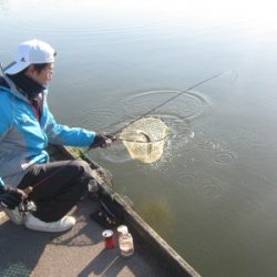 吉羽園 釣果