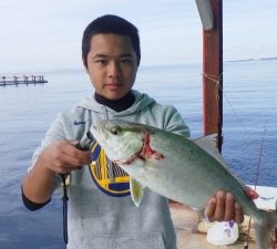 本部釣りイカダ 釣果