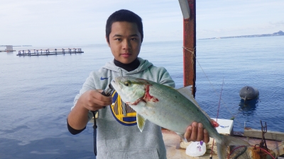 本部釣りイカダ 釣果