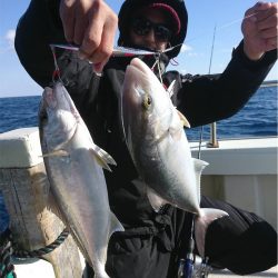 マタウマリンサービス 釣果