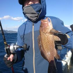 マタウマリンサービス 釣果