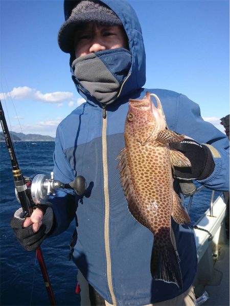 マタウマリンサービス 釣果