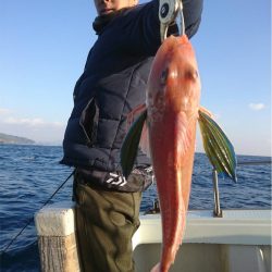 マタウマリンサービス 釣果