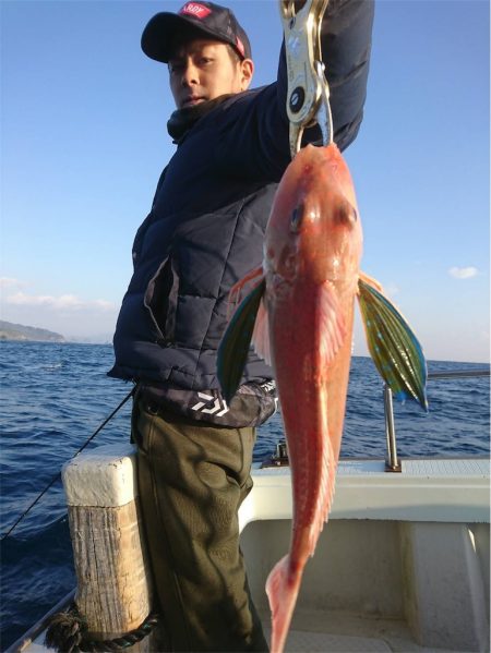 マタウマリンサービス 釣果