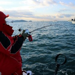 フルコンタクト 釣果