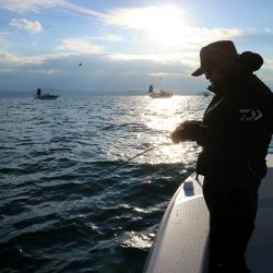 フルコンタクト 釣果