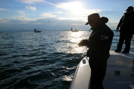 フルコンタクト 釣果