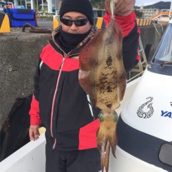 マタウマリンサービス 釣果