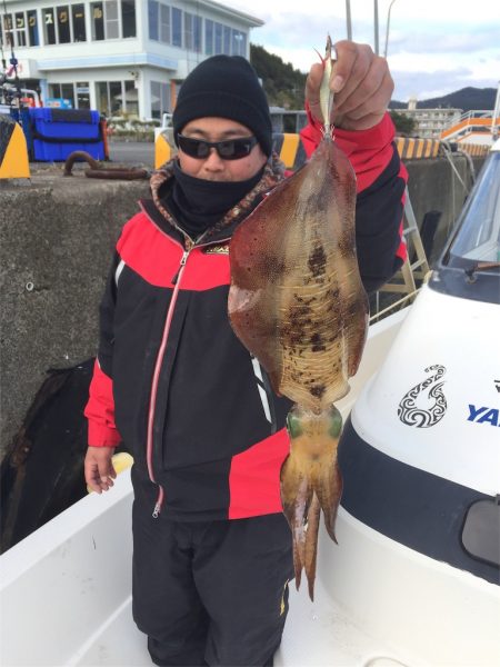 マタウマリンサービス 釣果