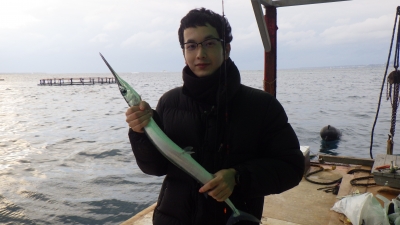 本部釣りイカダ 釣果