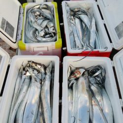 オーフリー 釣果