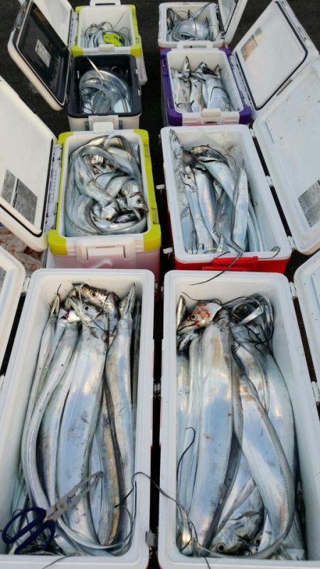 オーフリー 釣果