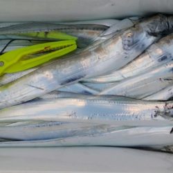 オーフリー 釣果