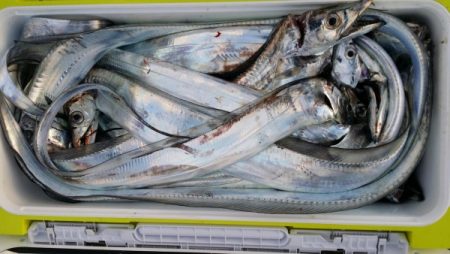 オーフリー 釣果