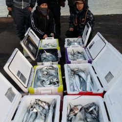 オーフリー 釣果