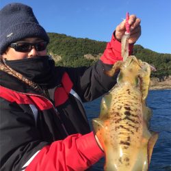 マタウマリンサービス 釣果