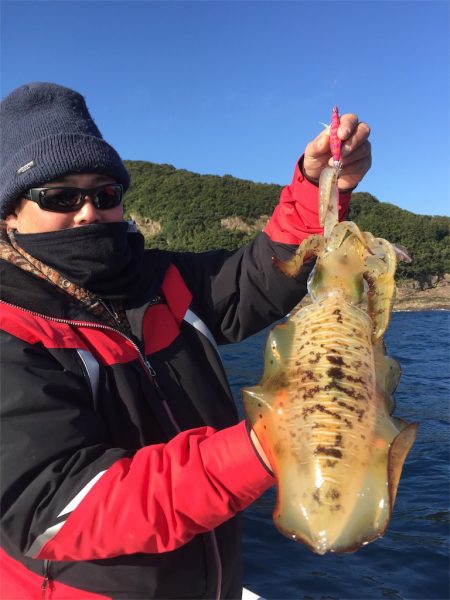 マタウマリンサービス 釣果