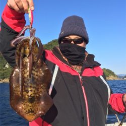 マタウマリンサービス 釣果