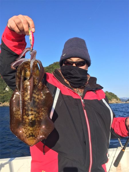 マタウマリンサービス 釣果