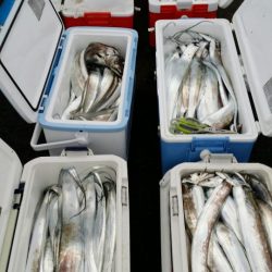 オーフリー 釣果