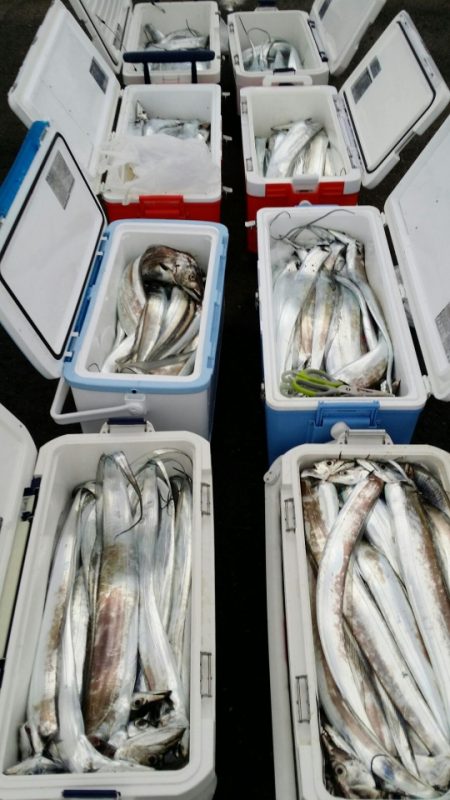 オーフリー 釣果