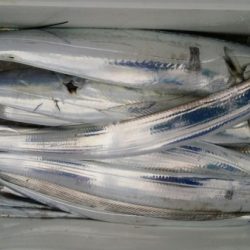 オーフリー 釣果