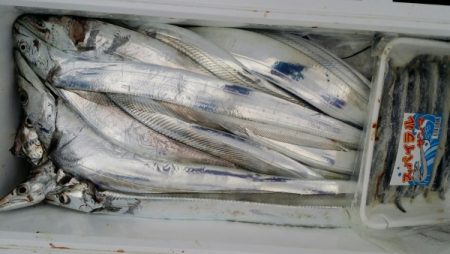 オーフリー 釣果