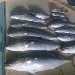 旭星釣りセンター 釣果